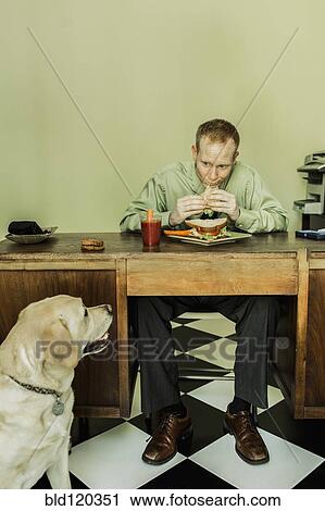Dog watching Caucasian businessman eat lunch View Large Photo Image Stock Image - Dog watching Caucasian businessman eat lunch. Fotosearch