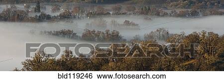 Stock Photograph - Fog rolling over rural landscape. Fotosearch