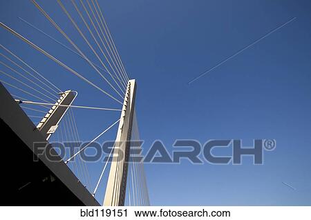 Low angle view of suspension bridge, Tacoma, Washington, United States View Large Photo Image Stock Image - Low angle view of suspension bridge, Tacoma, Washington, United States. Fotosearch