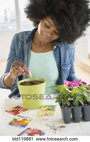 Mixed race woman planting flowers and seeds View Large Photo Image Stock Image - Mixed race woman planting flowers and seeds. Fotosearch