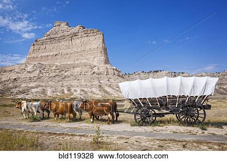 Oxen pulling covered wagon by rock formation, Scott's Bluff National Monument, Nebraska, United States View Large Photo Image Stock Photo - Oxen pulling covered wagon by rock formation, Scott's Bluff National Monument, Nebraska, United States. Fotosearch