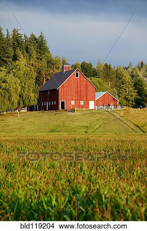 Picture - Red barn in rural landscape. Fotosearch