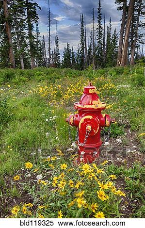 Stock Photography - Red fire hydrant in forest. Fotosearch