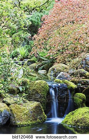 Stock Photo - Rocky creek and still pool, Portland, Oregon, United States. Fotosearch