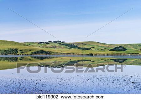 Stock Image - Rural hills reflected in calm estuary. Fotosearch