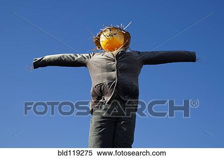 Stock Photography - Scarecrow against blue sky. Fotosearch