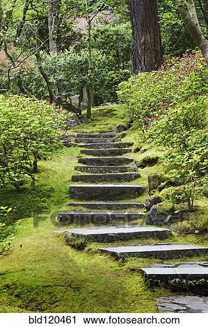 Stock Image - Stone steps in Japanese Garden, Portland, Oregon, United States. Fotosearch