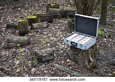 Suitcase of money in forest View Large Photo Image Stock Photo - Suitcase of money in forest. Fotosearch