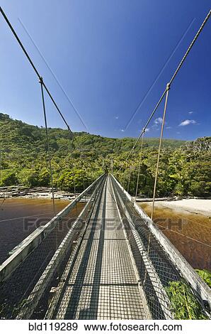 Stock Photo - Suspension bridge over tropical beach. Fotosearch