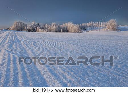 Stock Photography - Tire tracks in snowy landscape. Fotosearch
