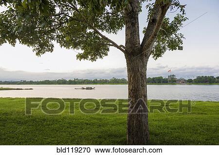 Stock Image - Tree and river. Fotosearch