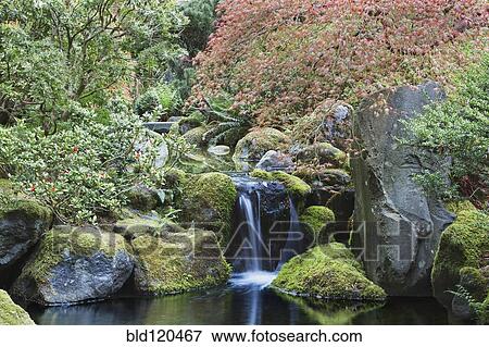 Stock Photo - Waterfall and still pool, Portland, Oregon, United States. Fotosearch