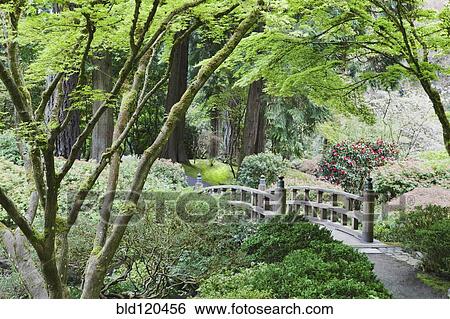 Stock Photograph - Wooden bridge in Japanese Garden, Portland, Oregon, United States. Fotosearch