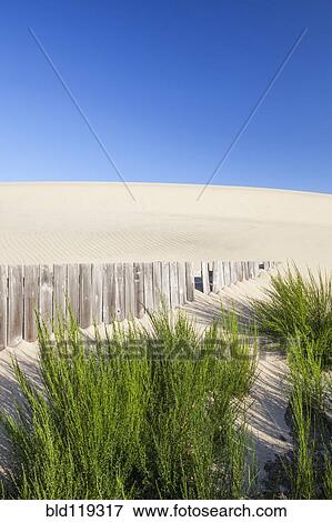 Stock Photo - Wooden fence and green shrubs on sand dune. Fotosearch