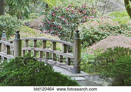 Picture - Wooden footbridge in Japanese Garden, Portland, Oregon, United States. Fotosearch