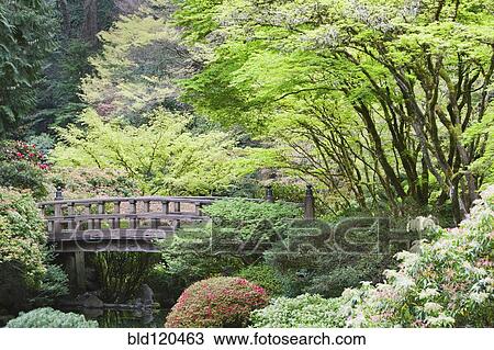 Stock Image - Wooden footbridge in Japanese Garden, Portland, Oregon, United States. Fotosearch
