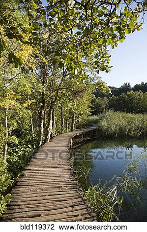 Stock Image - Wooden walkway by still lake. Fotosearch