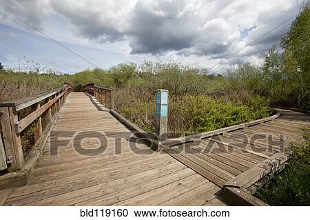 Stock Image - Wooden walkway in rural landscape. Fotosearch