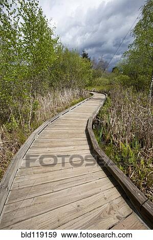 Stock Photo - Wooden walkway in rural landscape. Fotosearch