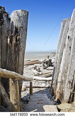 Stock Image - Wooden walkway to beach. Fotosearch