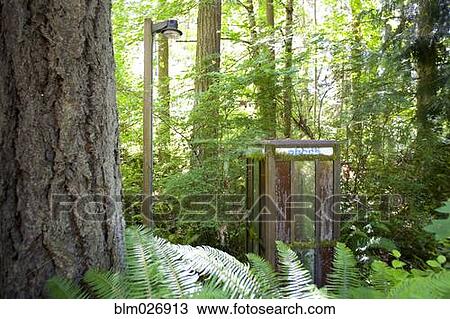 Abandoned phone booth, Kopachuck State Park, Washington, United States View Large Photo Image Stock Image - Abandoned phone booth, Kopachuck State Park, Washington, United States. Fotosearch