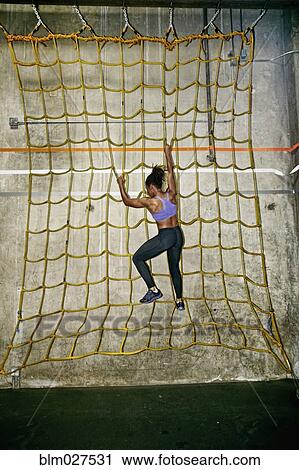 African American woman climbing net wall in gym View Large Photo Image Stock Image - African American woman climbing net wall in gym. Fotosearch