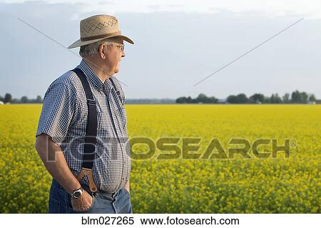 Stock Photography - Caucasian farmer looking at mustard crop. Fotosearch