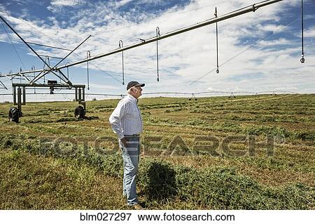 Stock Photo - Caucasian farmer looking over crop. Fotosearch