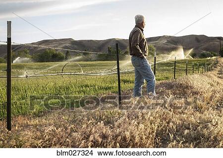 Picture - Caucasian farmer looking over fields. Fotosearch