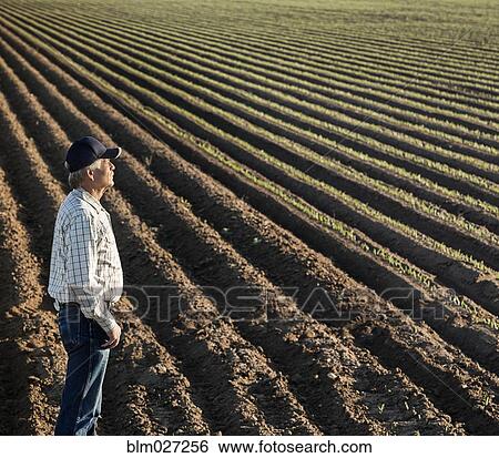 Caucasian farmer looking over irrigated field View Large Photo Image Stock Photograph - Caucasian farmer looking over irrigated field. Fotosearch