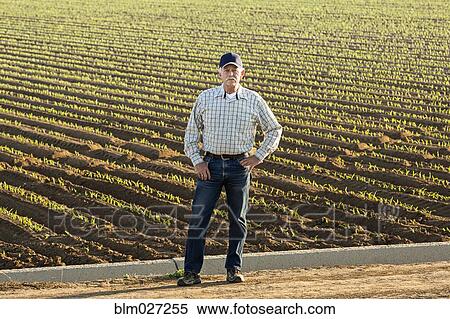 Caucasian farmer standing in irrigated field View Large Photo Image Stock Photography - Caucasian farmer standing in irrigated field. Fotosearch