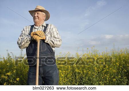 Stock Image - Caucasian farmer standing in mustard field. Fotosearch