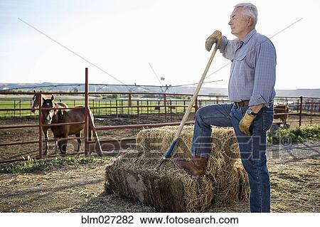 Caucasian rancher standing near horse corral View Large Photo Image Stock Image - Caucasian rancher standing near horse corral. Fotosearch