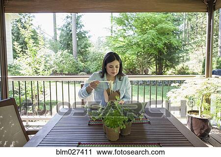 Hispanic woman eating Chinese food on patio View Large Photo Image Stock Image - Hispanic woman eating Chinese food on patio. Fotosearch