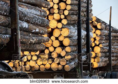 Stock Image - Logging truck pulling fresh cut logs. Fotosearch
