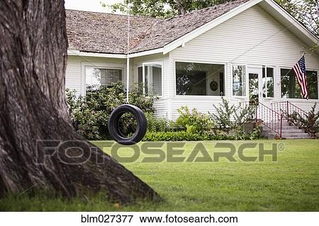 Stock Photo - Tire swing hanging in backyard. Fotosearch