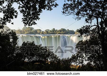 Stock Image - Trees in front of Victoria Falls, Matabeleland North, Zimbabwe. Fotosearch