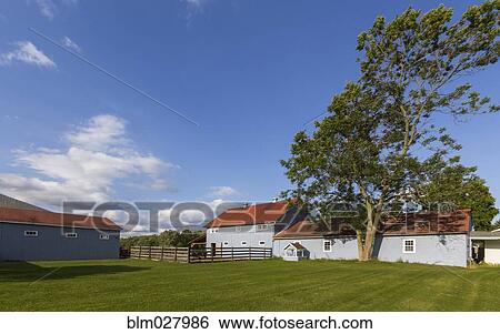Barn and outbuildings on farm View Large Photo Image Stock Photograph - Barn and outbuildings on farm. Fotosearch