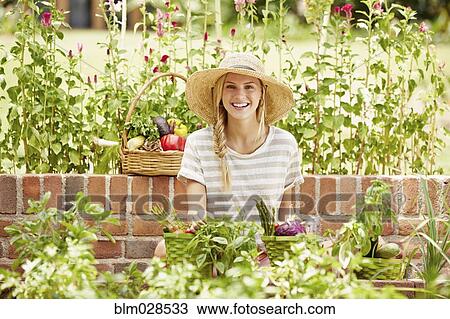 Stock Image - Caucasian woman picking vegetables in garden. Fotosearch