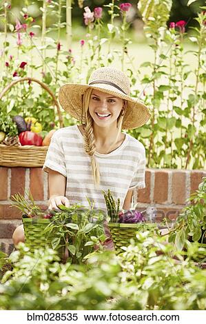 Caucasian woman picking vegetables in garden View Large Photo Image Stock Photography - Caucasian woman picking vegetables in garden. Fotosearch