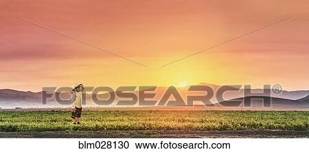 Stock Image - Chinese boy standing in rural field. Fotosearch