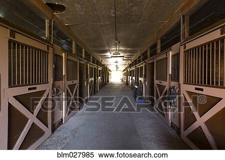 Doors in horse stable View Large Photo Image Stock Photography - Doors in horse stable. Fotosearch