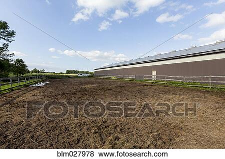 Stock Photo - Empty riding ring on horse farm. Fotosearch