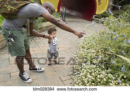 Father and toddler examining plants in park View Large Photo Image Picture - Father and toddler examining plants in park. Fotosearch