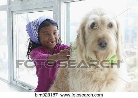 Mixed race girl putting bandana on dog in window View Large Photo Image Stock Photo - Mixed race girl putting bandana on dog in window. Fotosearch