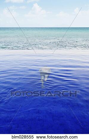 Stock Photography - Mixed race man swimming underwater. Fotosearch