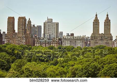 Stock Photo - Skyline and tree tops, New York, New York, United States. Fotosearch
