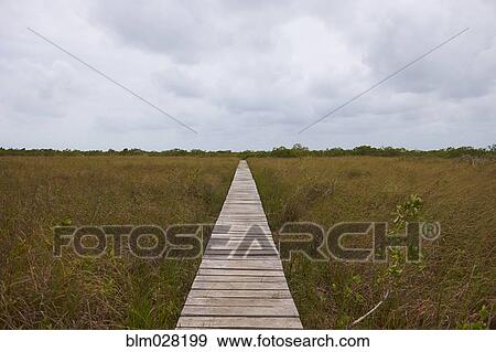 Stock Photo - Wooden walkway in rural landscape. Fotosearch