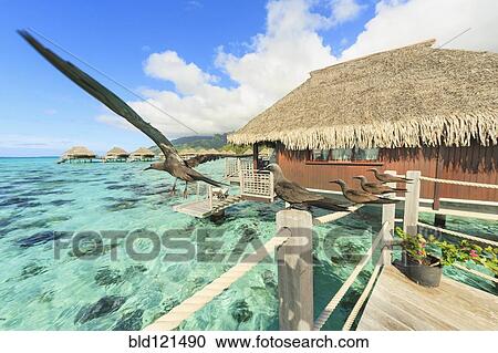 Birds perched on bungalow railing, Bora Bora, French Polynesia View Large Photo Image Stock Image - Birds perched on bungalow railing, Bora Bora, French Polynesia. Fotosearch