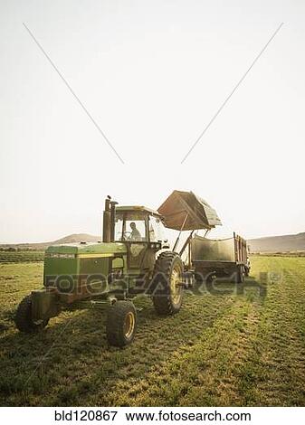 Caucasian farmer driving tractor in crop field View Large Photo Image Stock Photo - Caucasian farmer driving tractor in crop field. Fotosearch